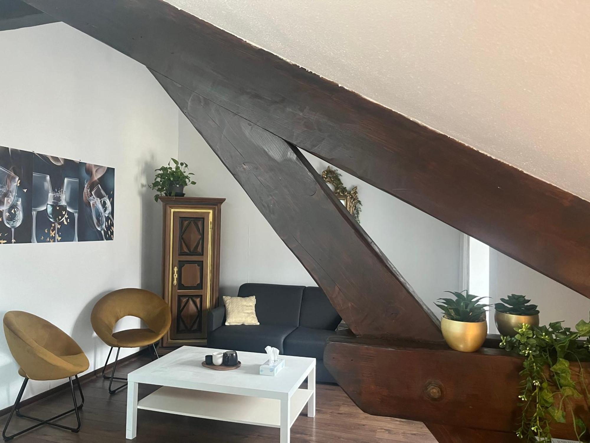 Au Mignonnet Apartment Millau
